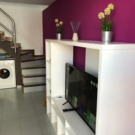 Playmar M&m 2223 マスパロマス